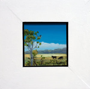 Angus Cattle in Landscape