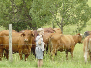 2003 Obi Obi Valley Farm