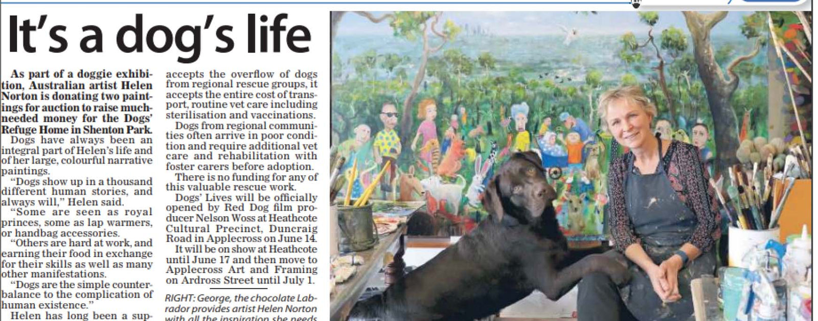 2018 Its a Dogs Life - The Post