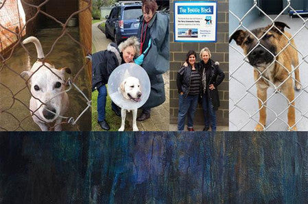 Dog Refuge Home Exhibition
