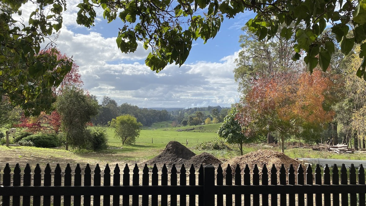 Winter 2024 - From the Studio