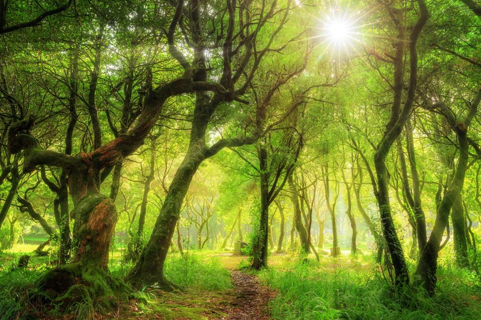 CHANGE OF LIFE DIRECTION AT SIXTY