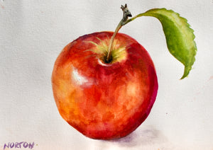 30 Day Watercolor Challange Paintings (COMING SOON) - 45 small watercolours