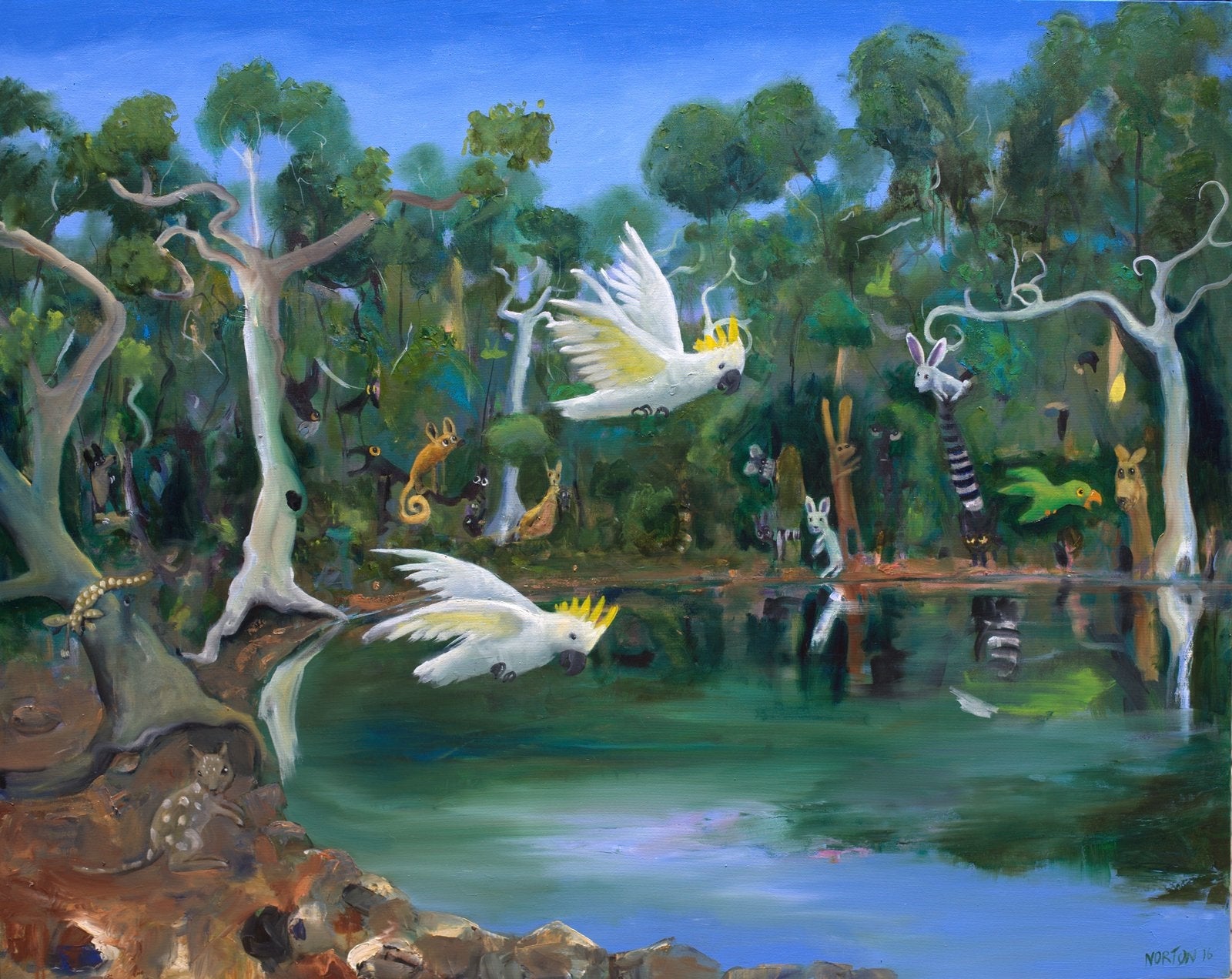 Two Cockies Over Waterhole (insiders outsiders)