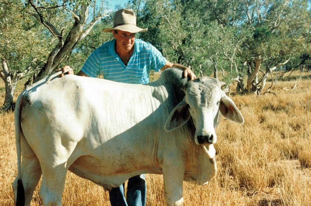 1994 Roebuck Station WA