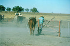 1994 Royal Flying Doctor Series and Roebuck Station