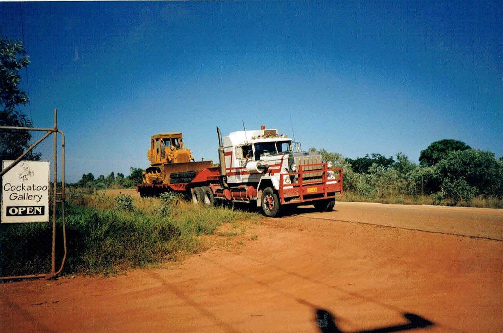 Cockatoo Gallery