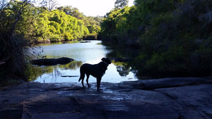 2016 Margaret River