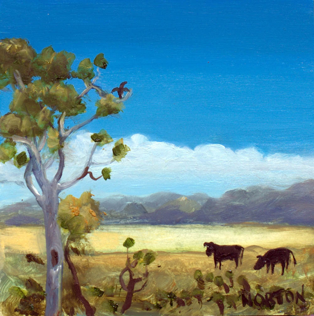 Angus Cattle in Landscape