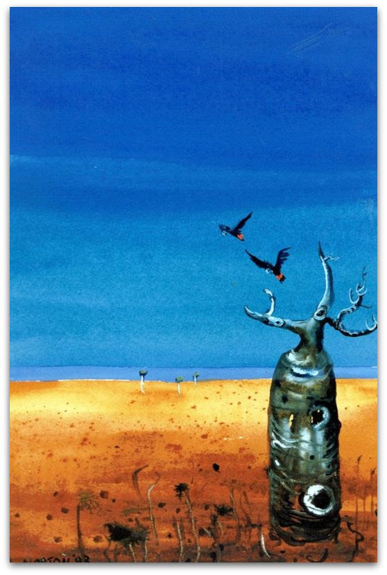 Boab and Black Cockys