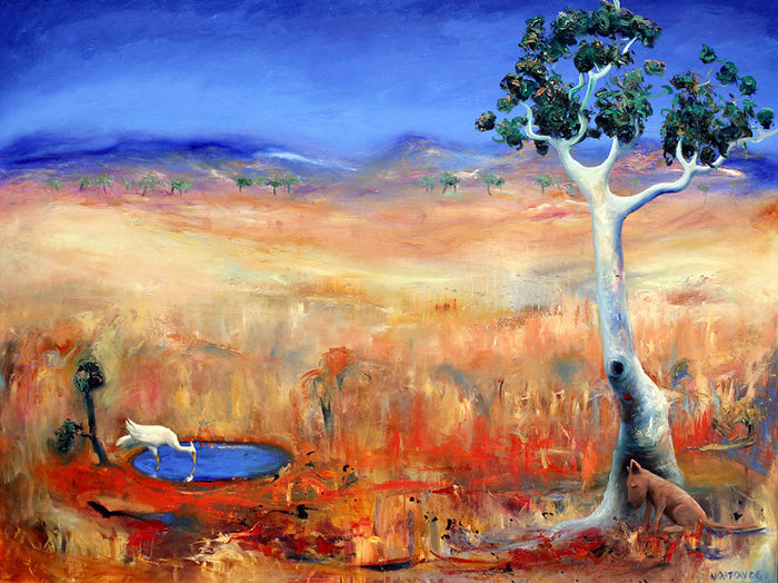 Bush Scene