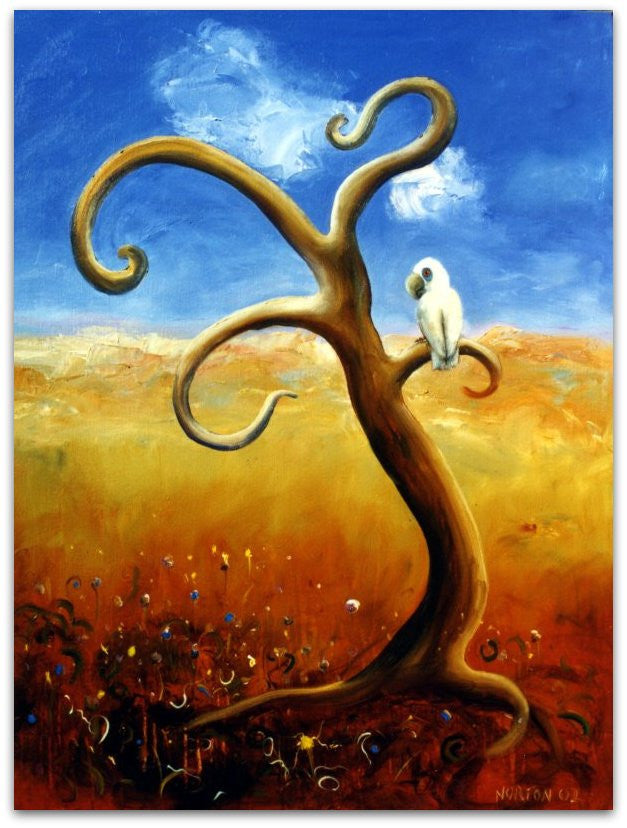 Cocky on Curly Tree