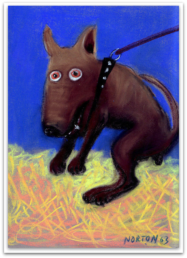 Cranky Brown Dog