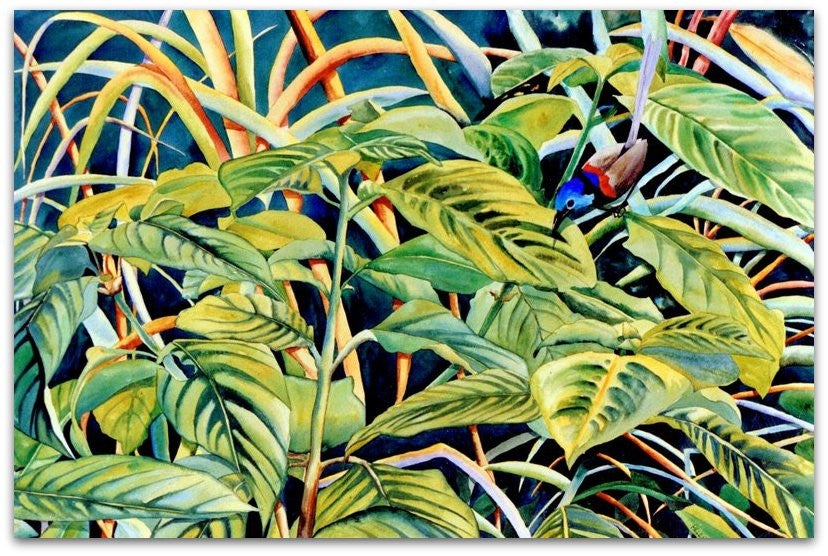 Variegated Wren in Bangkok Rose