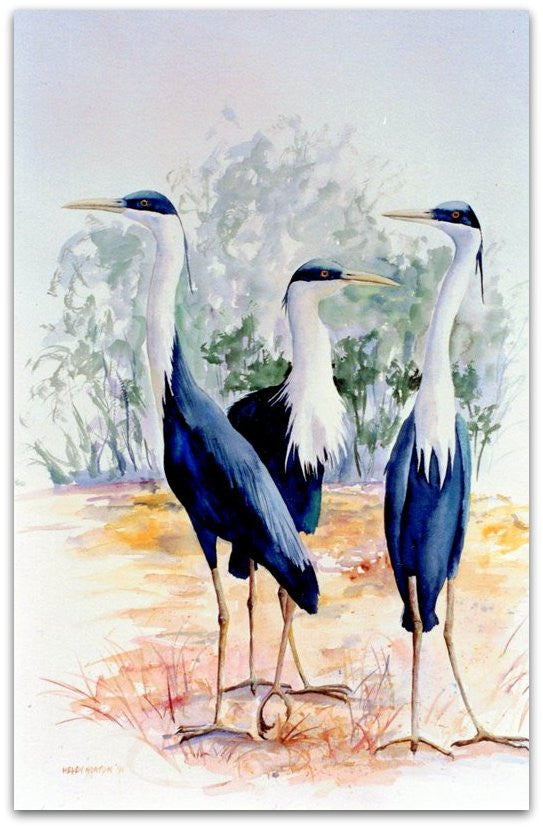 Herons - Helen Norton Art