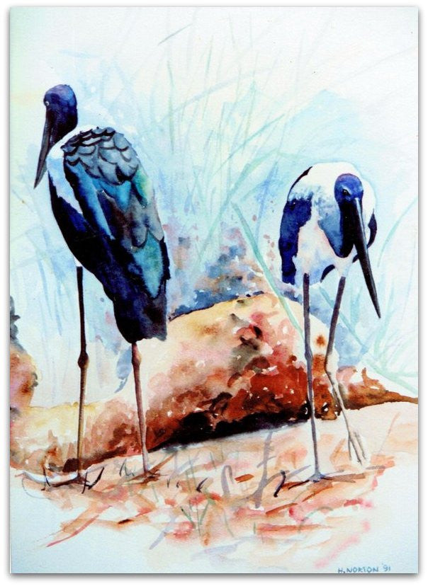 Jabiru's