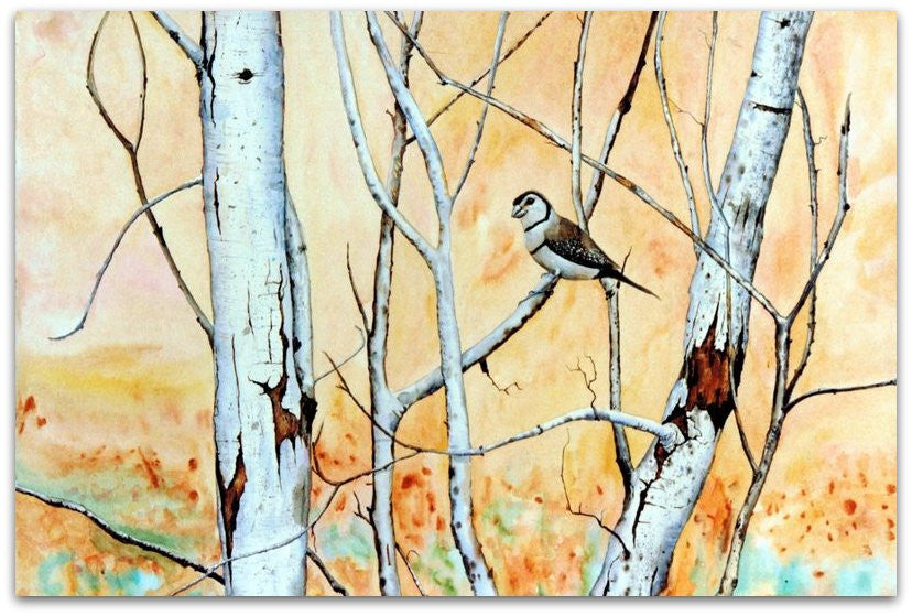 Finch