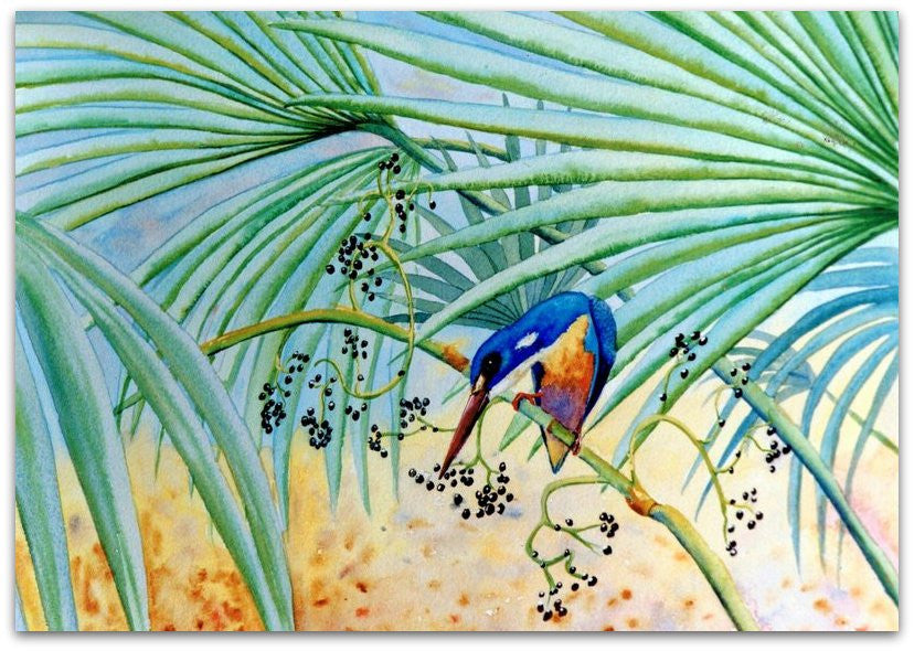Kingfisher