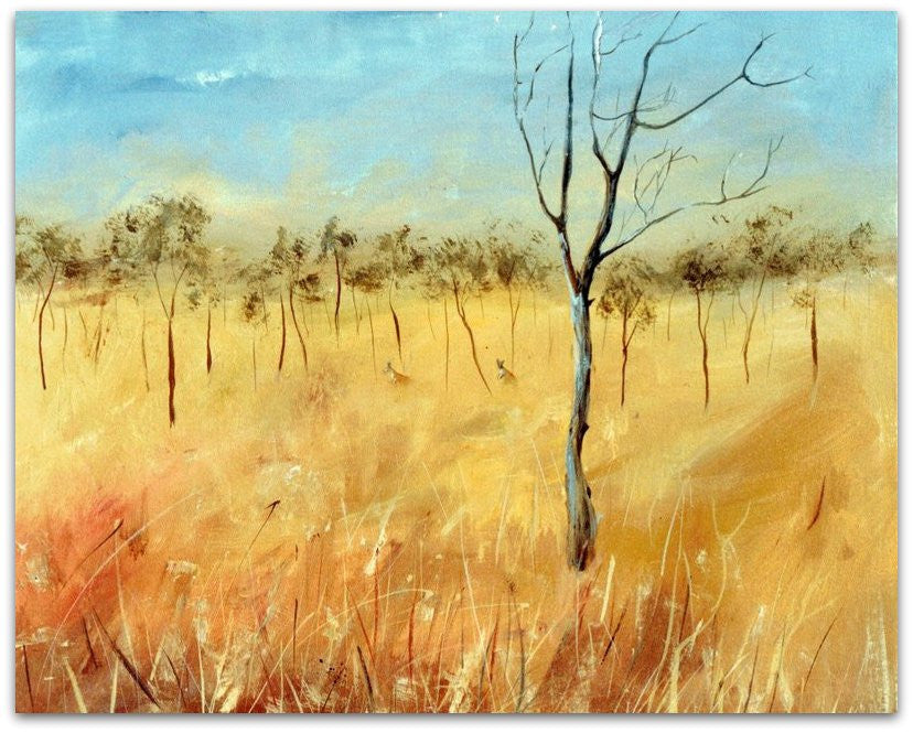 Golden Grass Kimberley