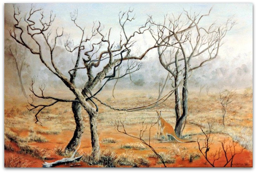 Roebuck Plains - Helen Norton Art