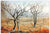 Roebuck Plains