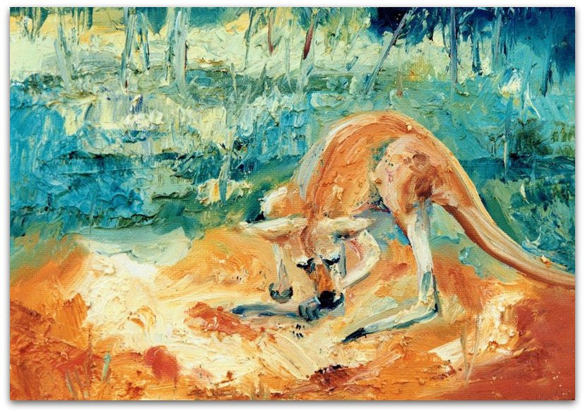 Kangaroo study - Helen Norton Art
