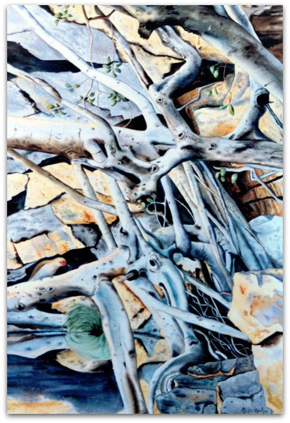 Fig Tree - Helen Norton Art