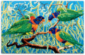 Lorikeets on Bloodwood