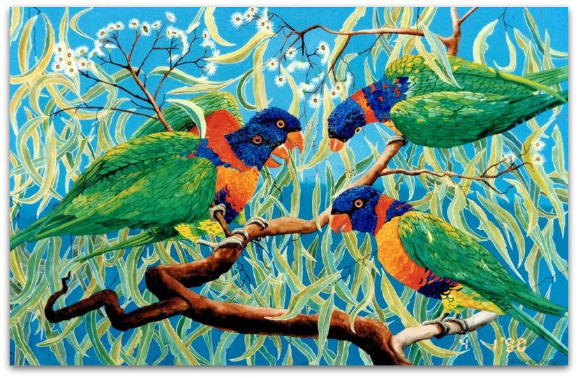 Lorikeets on Bloodwood