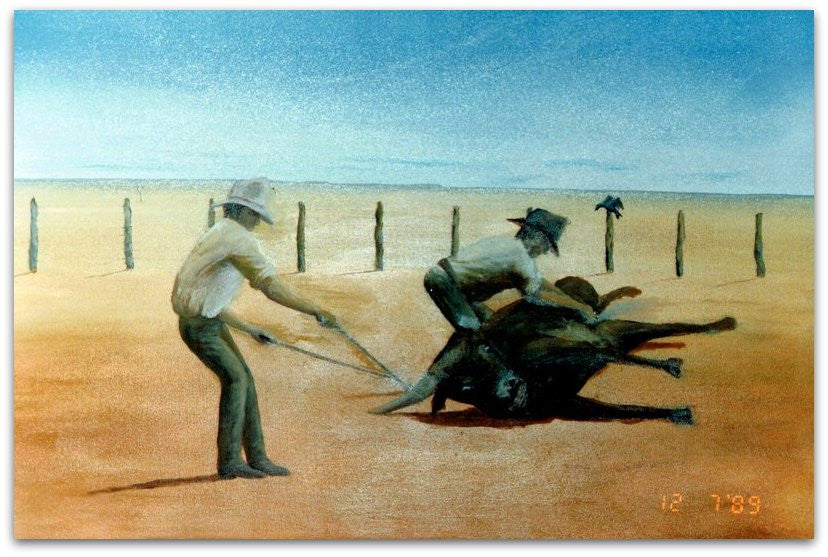 Horning on Mandora Station