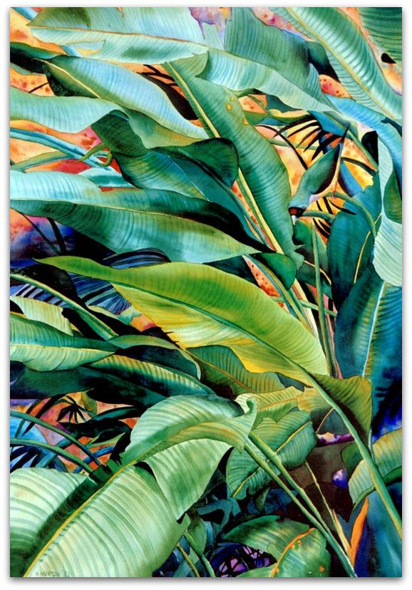 Gouldian Finch in Heliconia