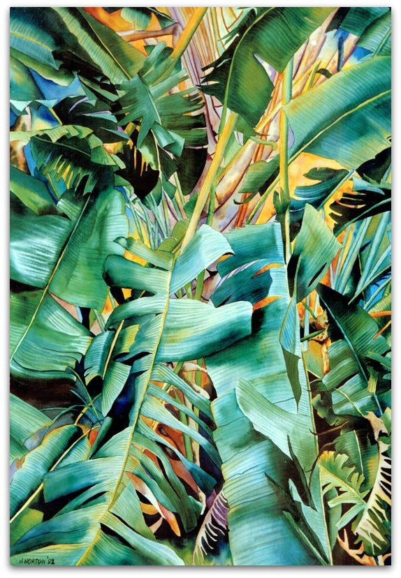 Travellers Palm