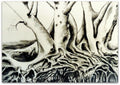 Roots - Helen Norton Art