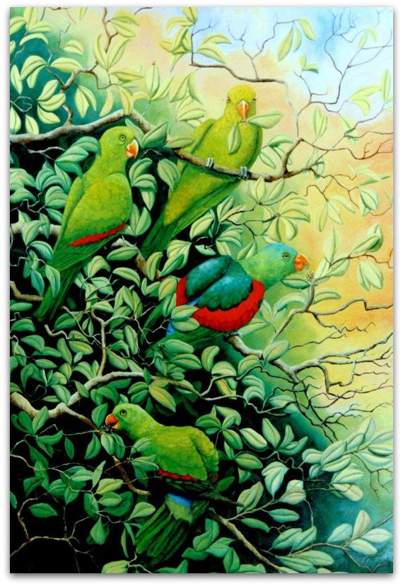 Red Wings in Pindan Plum