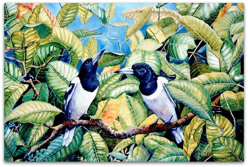 Butcher Birds in Malay Almond