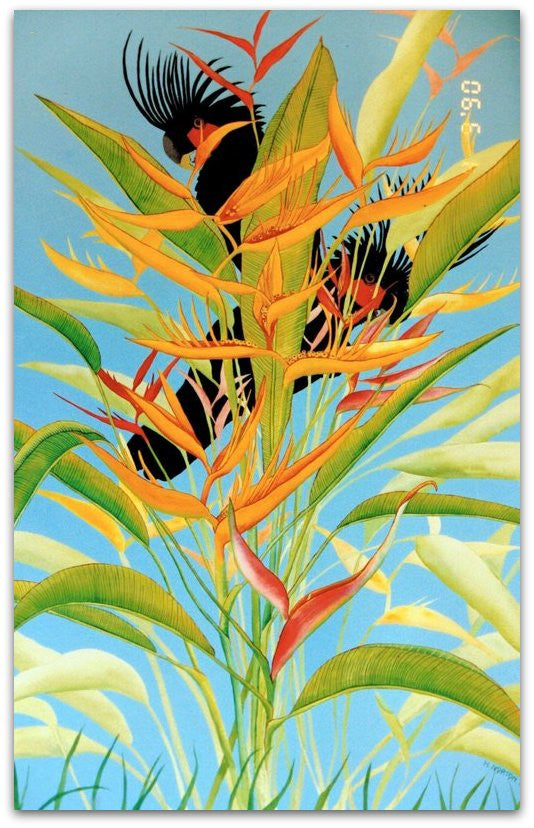 Heliconia Parrot Flower - Helen Norton Art