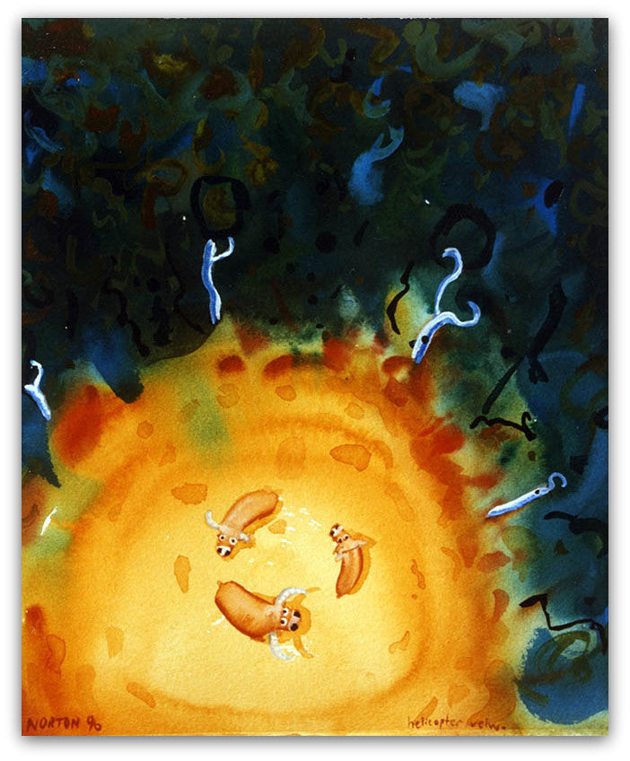 Helicopter View - Helen Norton Art