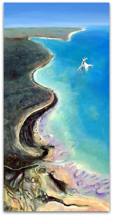 Kimberley Arial with Cockatoo - Helen Norton Art