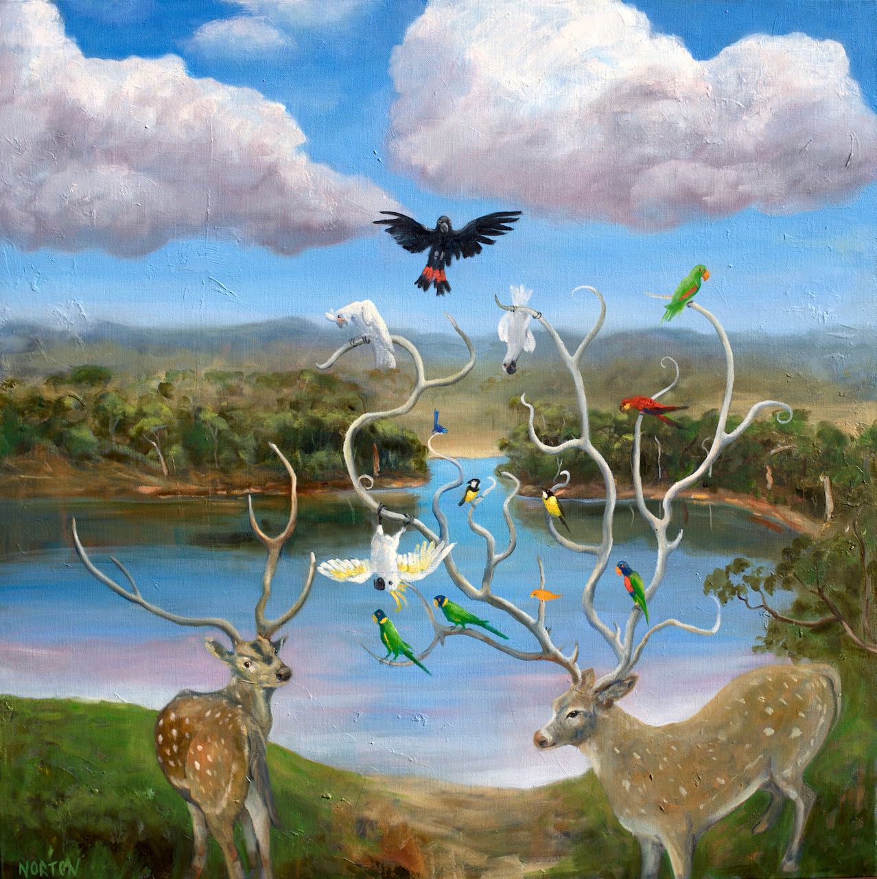 Natures Design