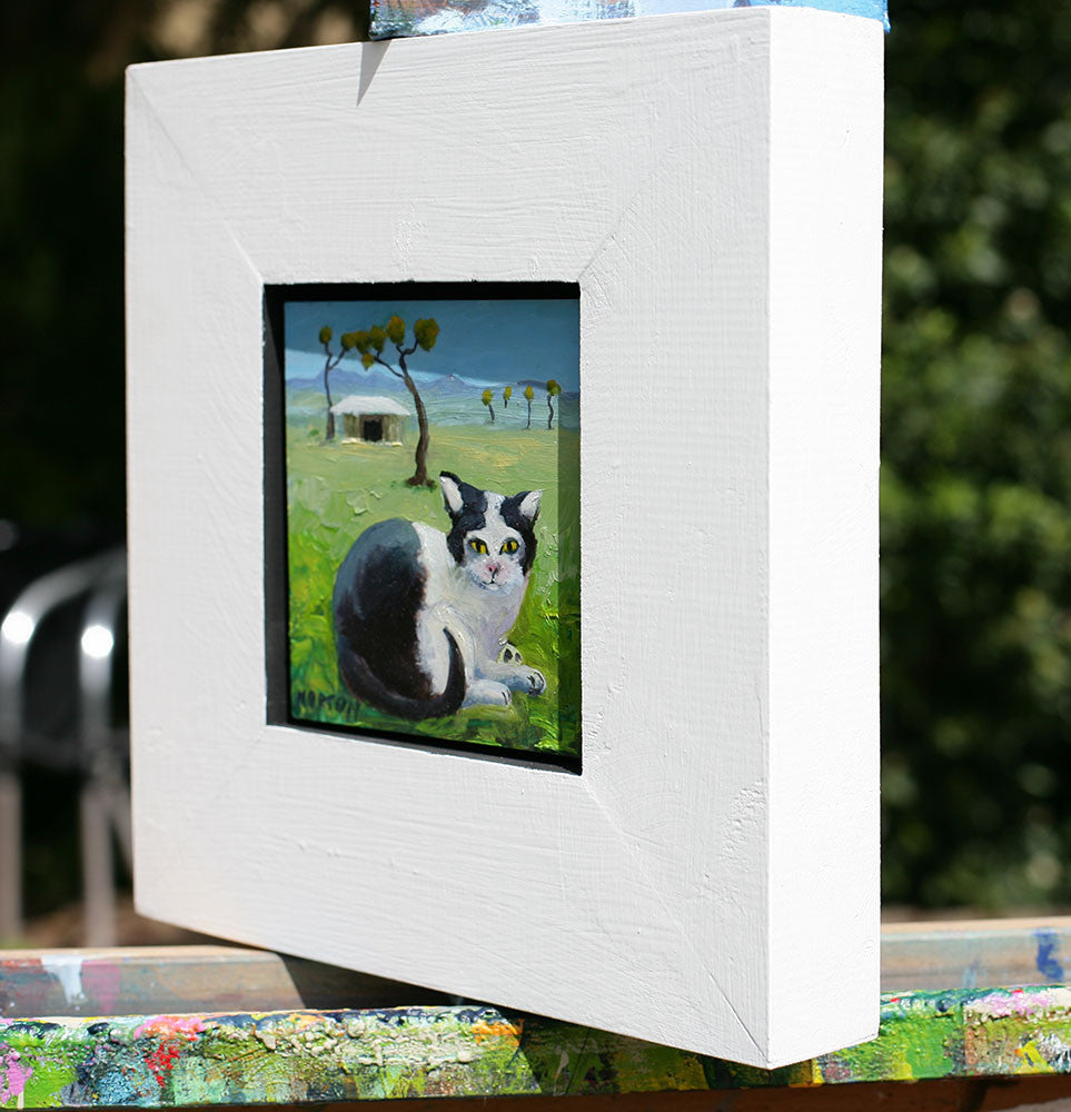 Piebald Cat on Farm