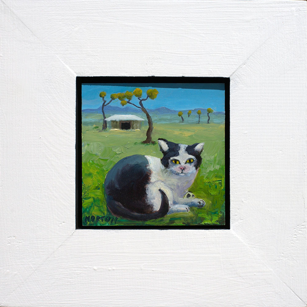 Piebald Cat on Farm