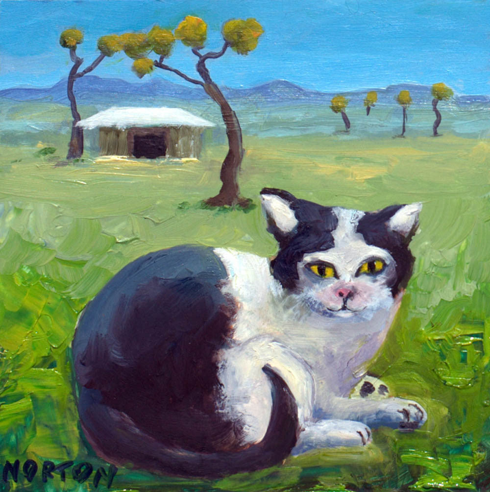 Piebald Cat on Farm