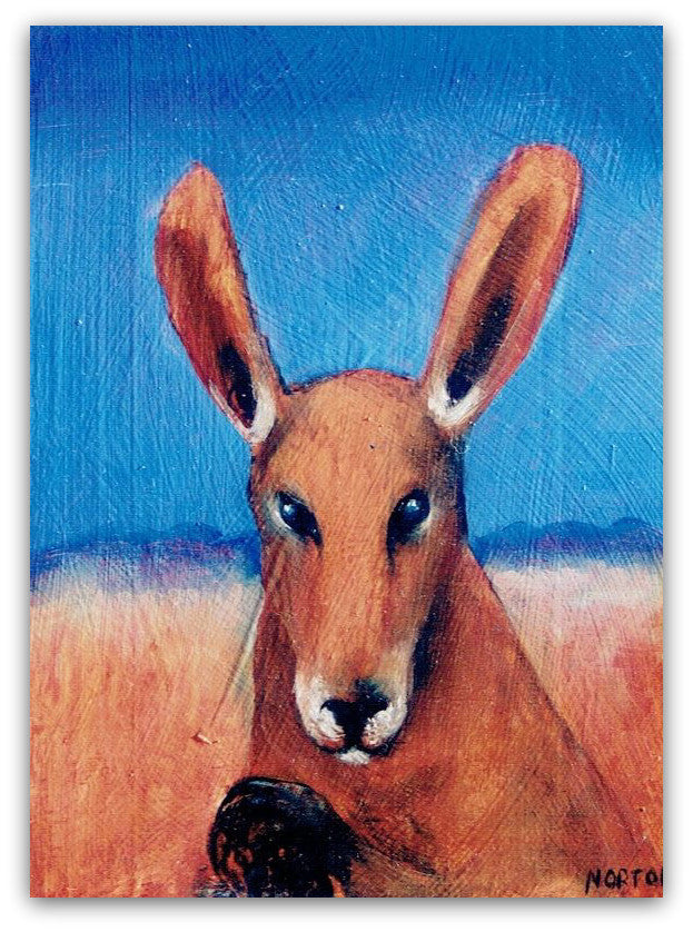 Portrait - Kangaroo - Helen Norton Art