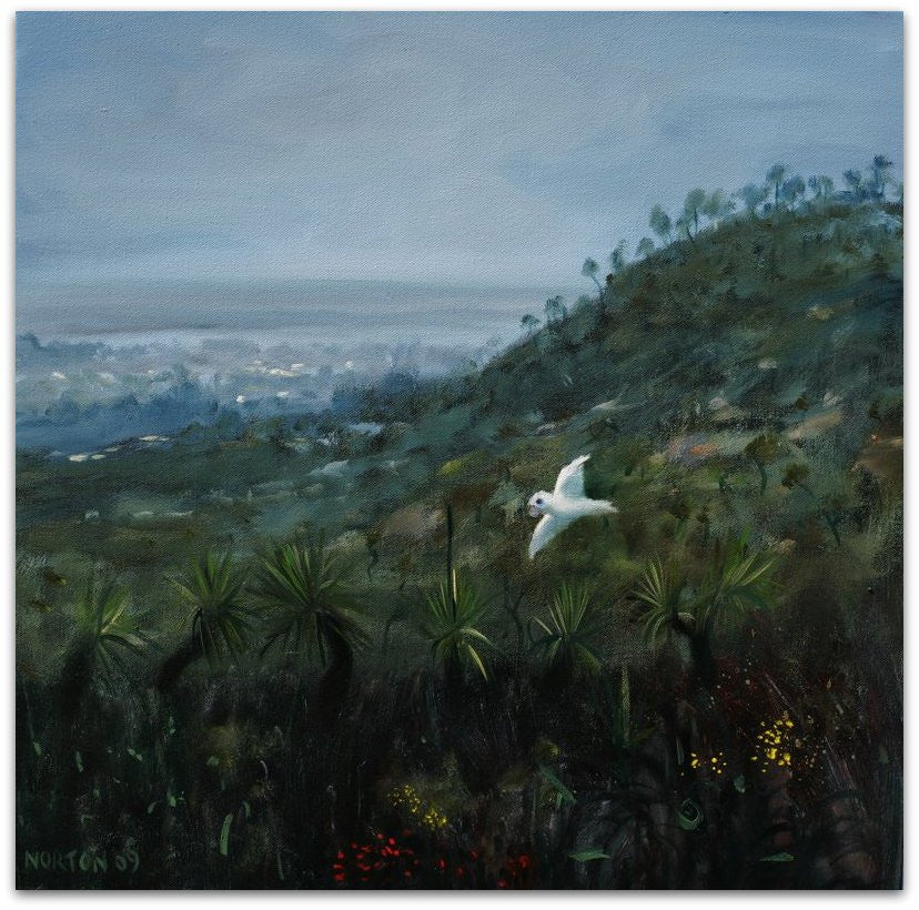 Falls Hills With Cockatoo
