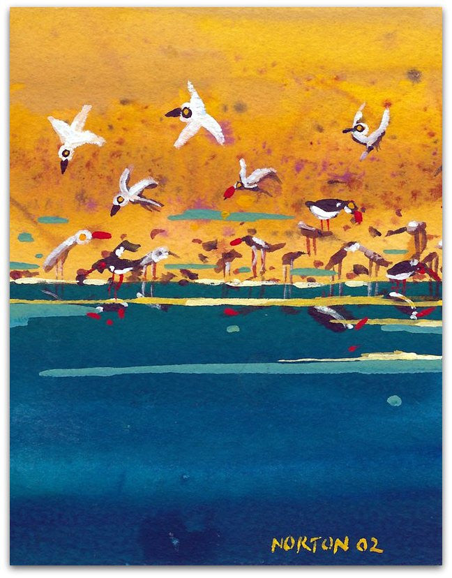 Water Birds 1 - Helen Norton Art