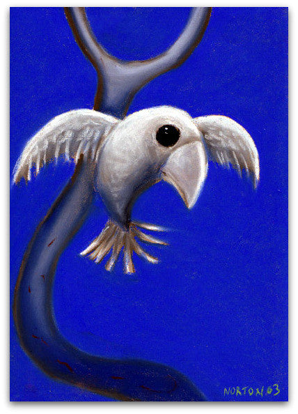 White Bird