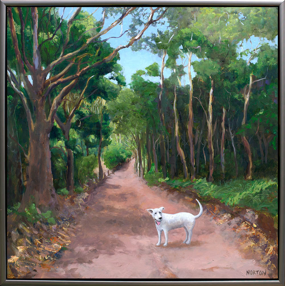 White Dog on Forest Track