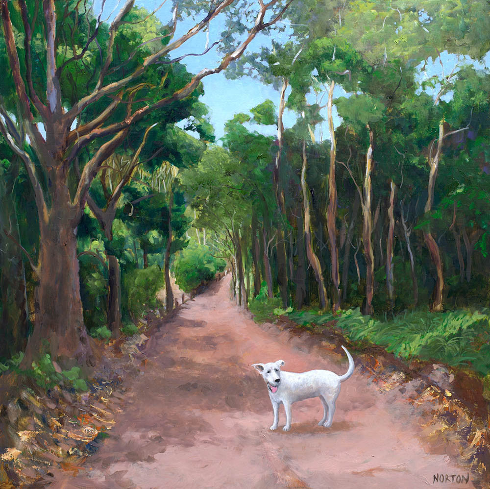 White Dog on Forest Track