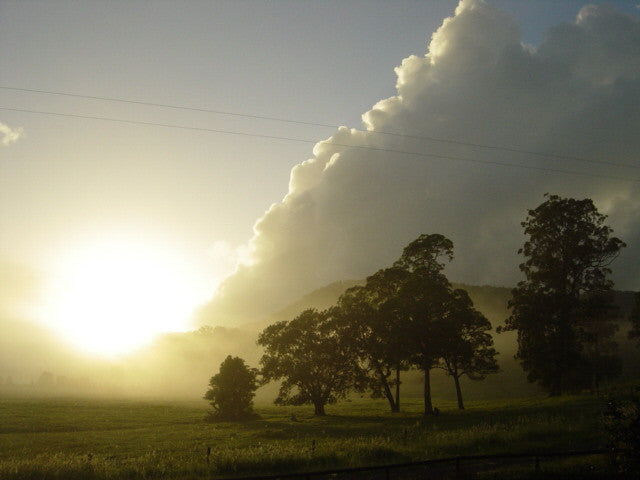 2003 Obi Obi Valley Farm