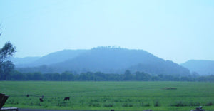 2003 Obi Obi Valley Farm